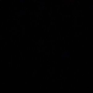 Meet your Posher, Gabriela